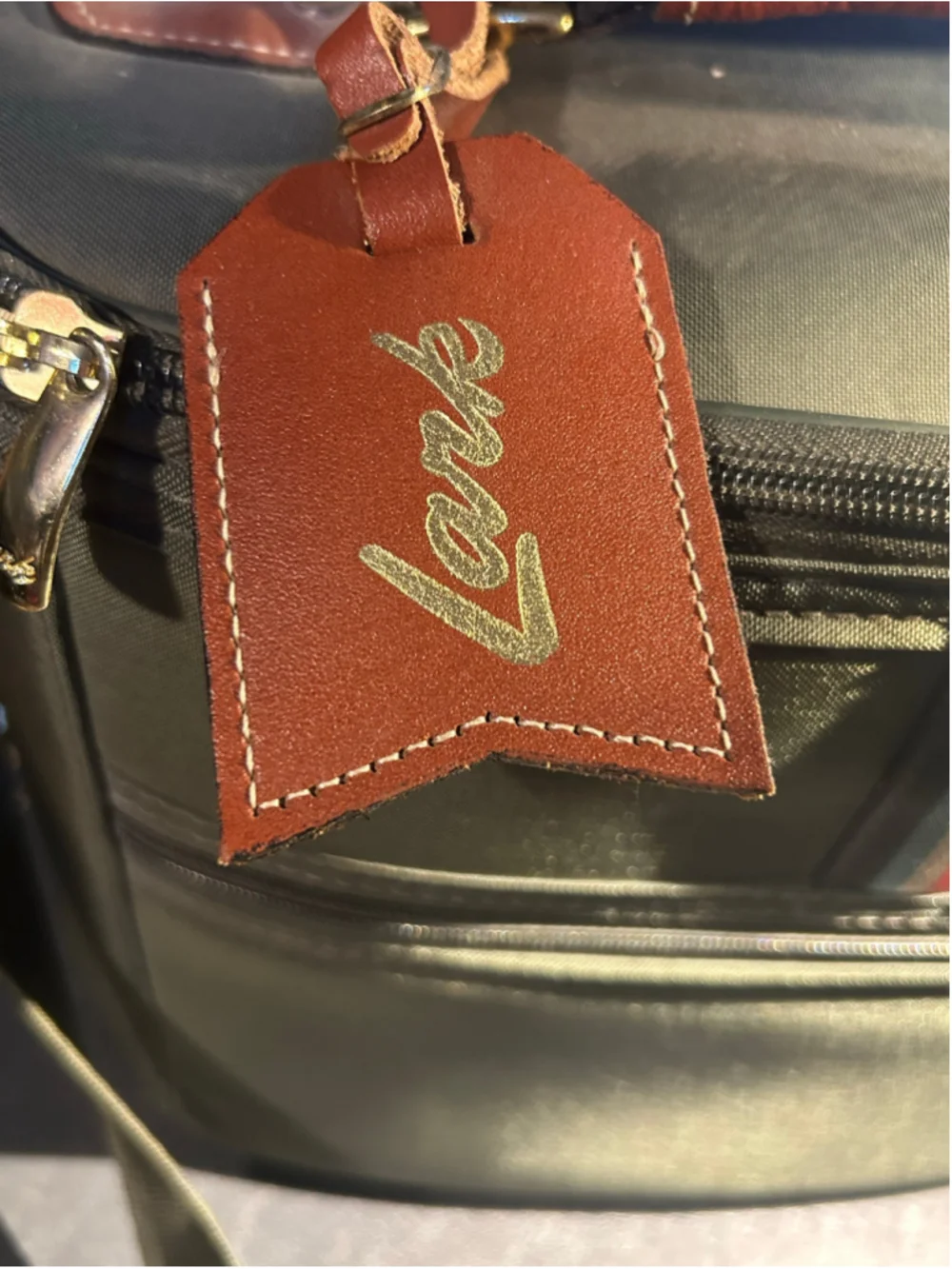 Lark Travel Case One Size Olive and Brown